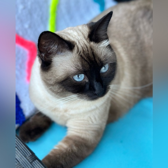 Meet your Posher, Vesna - Picture 7 of 11